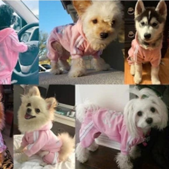 Dog Clothes, Hoodies Sweatshirt, Clothes for Small Dogs - Picture 2 of 3